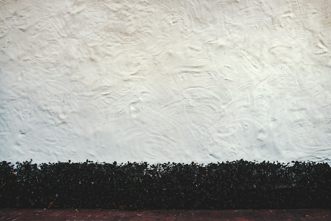 A bright interior shot of a messy, half-painted wall with paint drips, scattered brushes, and tools, illustrating a poorly executed DIY project that devalues a home.
